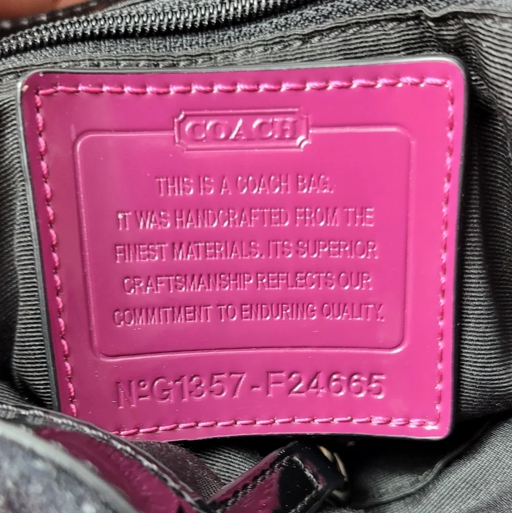 Coach North South Wool Tote